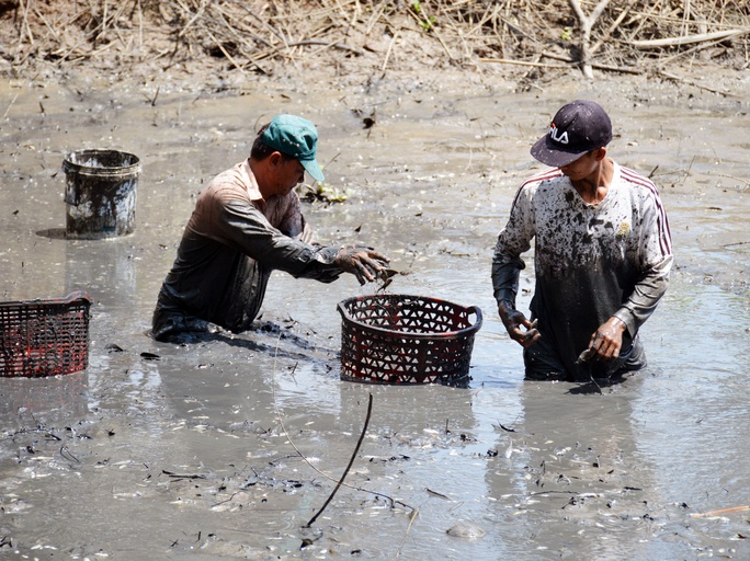 Chùm ảnh: Hấp dẫn tát đìa bắt cá đồng nướng rơm ở miền Tây - Ảnh 1.