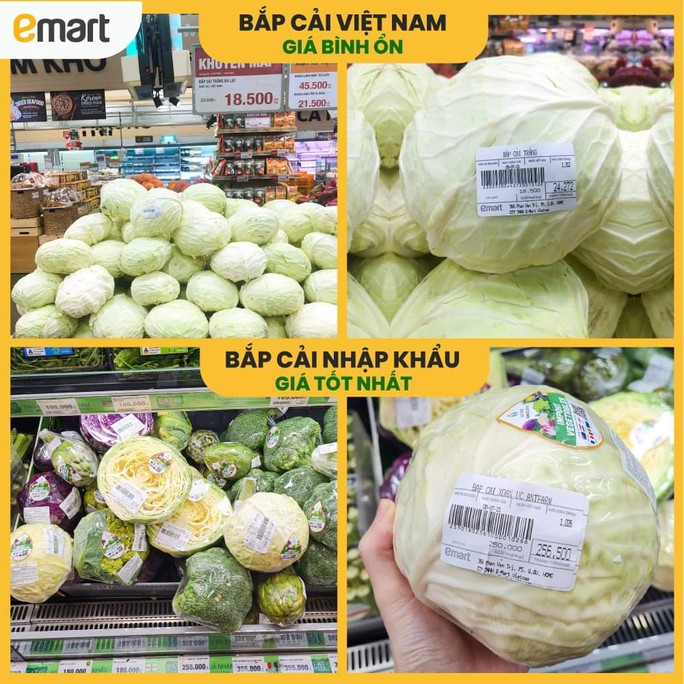 Thực hư siêu thị bán bắp cải 250.000 đồng/kg trong mùa dịch - Ảnh 1.