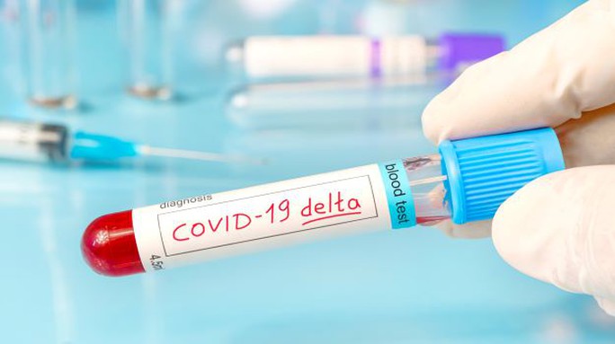 Covid-19: Chính biến thể Delta hé lộ nguồn gốc virus SARS-CoV-2? - Ảnh 1.