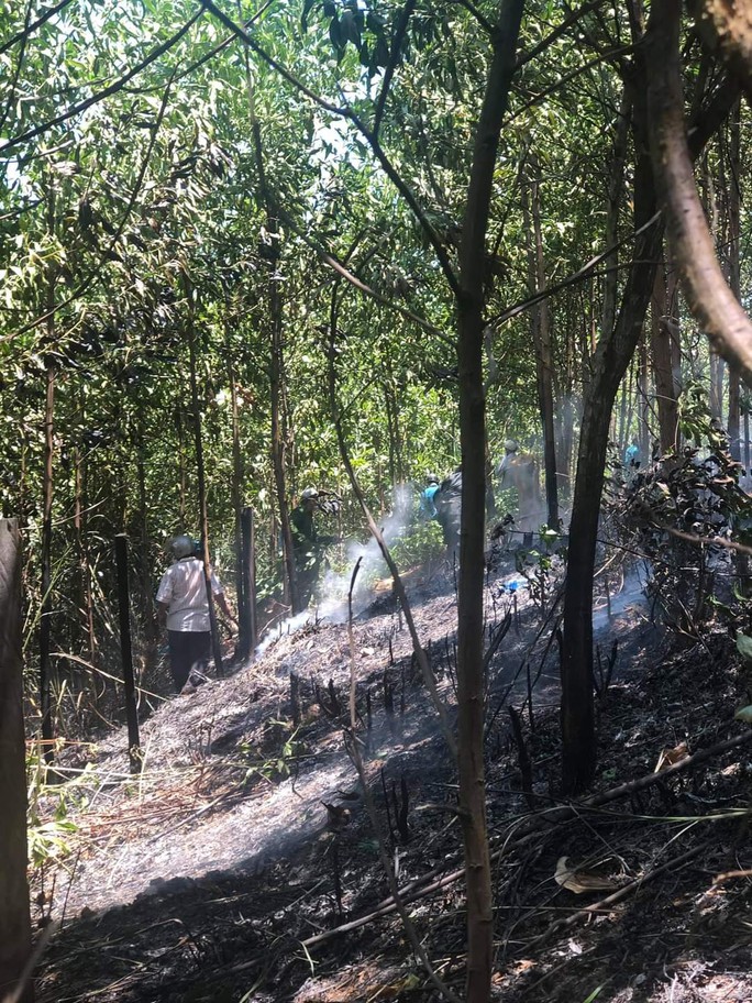 Quảng Nam: Xe tải bốc cháy dữ dội, cháy lan ra rừng keo của người dân - Ảnh 6.