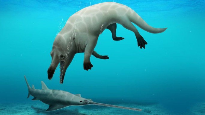 Phát hiện cá voi... 4 chân ở Ai Cập, hung dữ như khủng long - Ảnh 1.