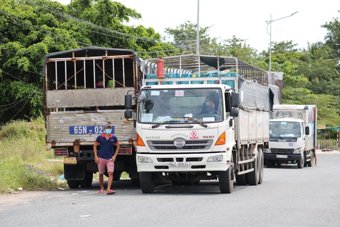 Cần Thơ kiến nghị Thủ tướng giữ nguyên biện pháp chống dịch trong vận chuyển hàng hoá - Ảnh 14.