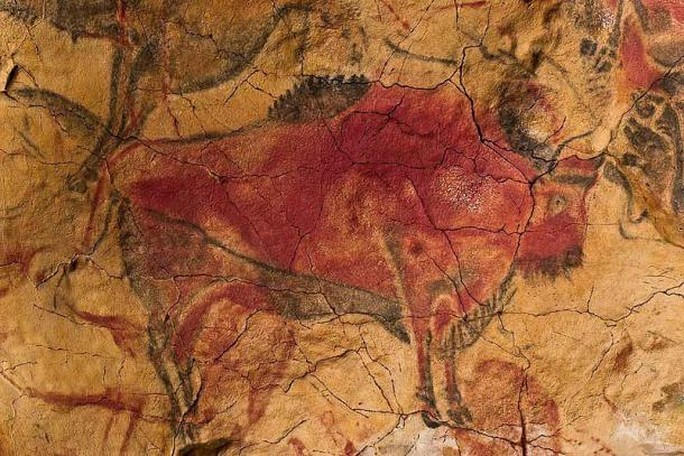 Phát hiện tranh tường 65.000 năm, vẽ bởi loài người đã tuyệt chủng - Ảnh 3.