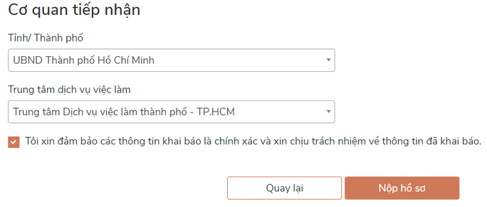 Cách nộp hồ sơ online nhận hỗ trợ Covid-19 với người lao động không đủ điều kiện nhận trợ cấp thất nghiệp - Ảnh 6.