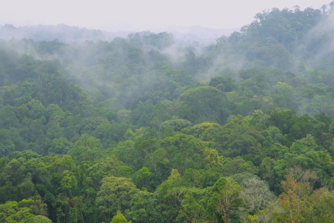 UNESCO công nhận Núi Chúa và Cao nguyên Kon Hà Nừng là Khu dự trữ sinh quyển thế giới - Ảnh 2.