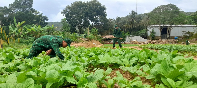 Biên phòng đảo Thổ Châu trồng rau, nuôi heo tặng dân nghèo - Ảnh 2.