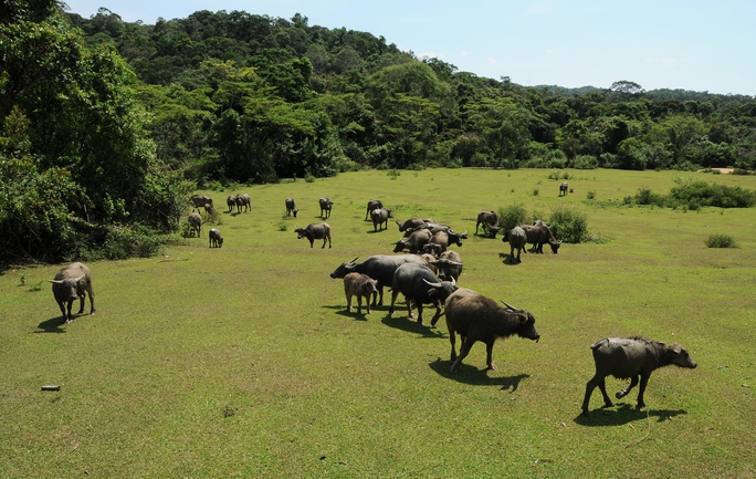 Hấp dẫn Kon Hà Nừng - Ảnh 3.