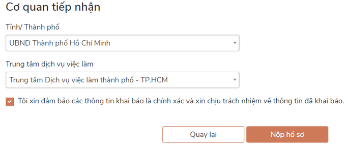 Không đủ điều kiện nhận trợ cấp thất nghiệp, người lao động nộp hồ sơ nhận hỗ trợ Covid-19 ra sao? - Ảnh 6.
