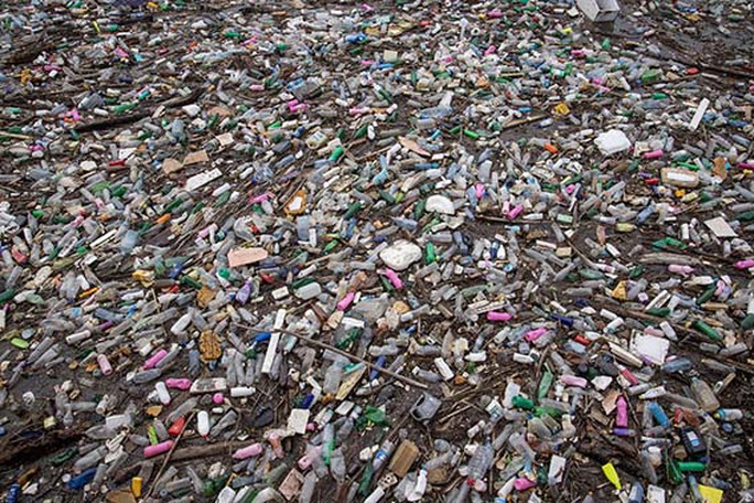 Các đại gia tuyên chiến với ô nhiễm nhựa - Ảnh 1.