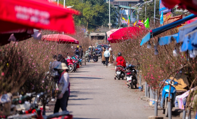 CLIP: Sức mua giảm, thị trường cây cảnh Tết ở Hà Nội ảm đạm - Ảnh 6.