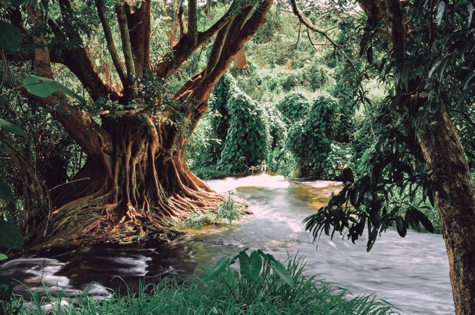 Vẻ đẹp khó cưỡng của Công viên địa chất toàn cầu ở Đắk Nông - Ảnh 4.