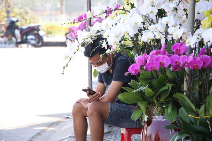 Chợ hoa Tết lớn nhất Đà Nẵng đang ế - Ảnh 10.