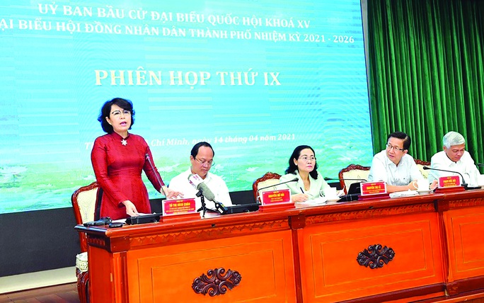 TP HCM - một năm vất vả, nghĩa tình - 2