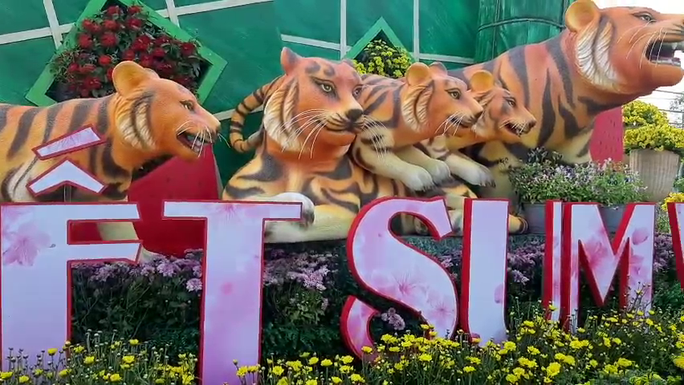 Những chú hổ đáng yêu ở Vườn hoa Cần Thơ Xuân Nhâm Dần 2022 - Ảnh 16.
