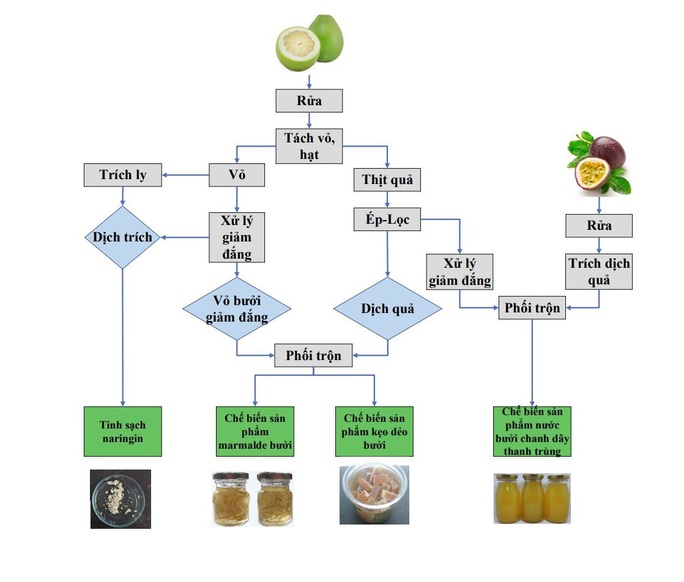 Đa dạng hóa sản phẩm từ quả bưởi  - Ảnh 2.