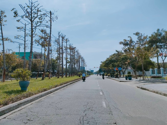 Lý do Quảng Nam bỏ thêm 300 tỉ đồng để nâng cấp 5,5 km đường - Ảnh 1.