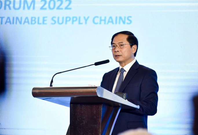 Phó Thủ tướng Phạm Bình Minh nêu 6 định hướng quan trọng tại Diễn đàn OECD - Đông Nam Á - Ảnh 4.