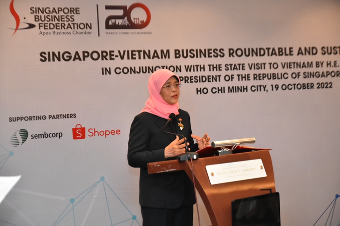 Singapore hỗ trợ Việt Nam chuyển đổi số đa lĩnh vực - Ảnh 1.