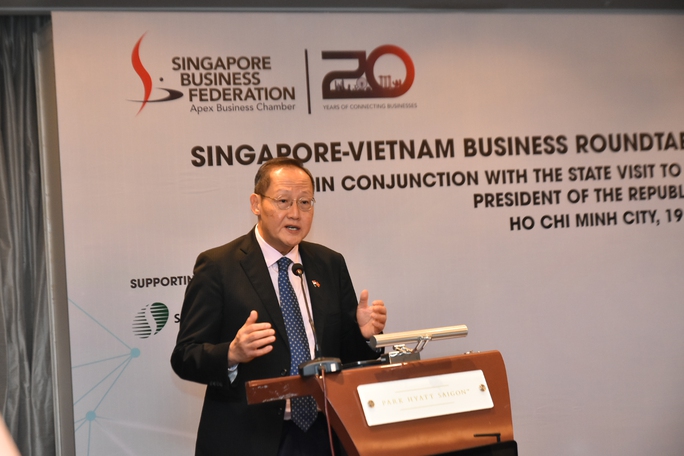 Singapore hỗ trợ Việt Nam chuyển đổi số đa lĩnh vực - Ảnh 6.