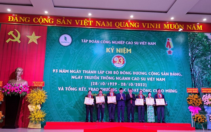 Tập đoàn Công nghiệp cao su Việt Nam hướng đến lợi nhuận 6.870 tỉ đồng/năm - Ảnh 2.
