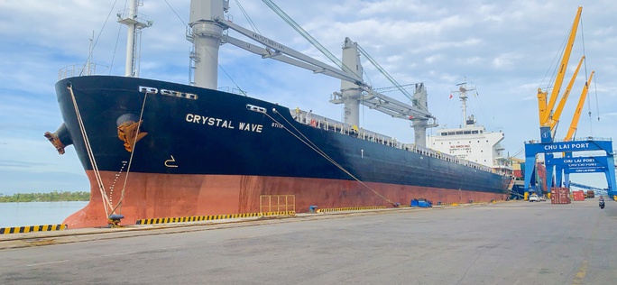 Cảng Chu Lai phát triển dịch vụ xuất nhập khẩu hàng rời - Ảnh 4.