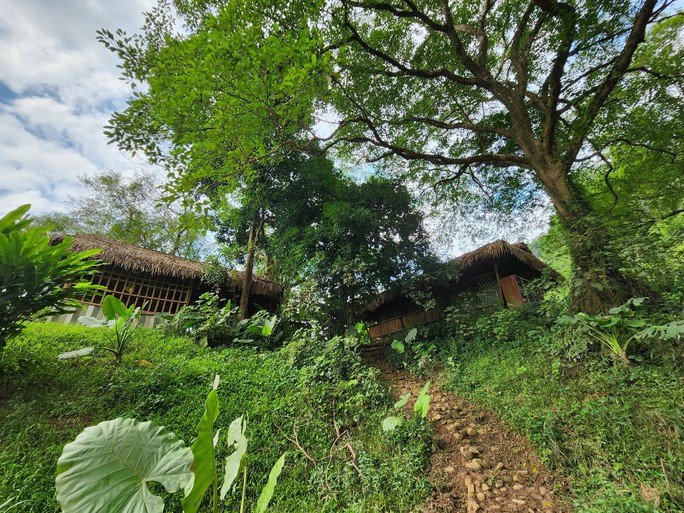 Cận cảnh thánh địa Ozo Park lấn chiếm hơn 3,6ha rừng phòng hộ Phong Nha - Kẻ Bàng - Ảnh 12.
