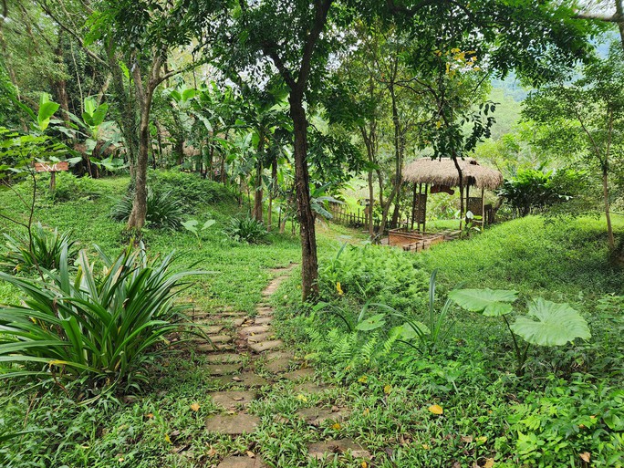 Cận cảnh thánh địa Ozo Park lấn chiếm hơn 3,6ha rừng phòng hộ Phong Nha - Kẻ Bàng - Ảnh 15.