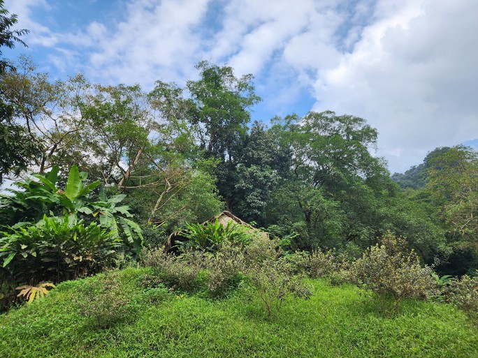 Cận cảnh thánh địa Ozo Park lấn chiếm hơn 3,6ha rừng phòng hộ Phong Nha - Kẻ Bàng - Ảnh 5.