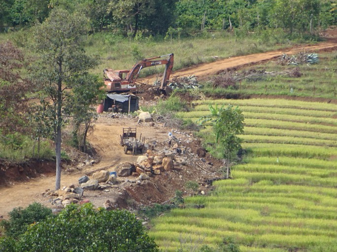 Bí thư huyện chỉ đạo xử lý nghiêm việc đá tặc lộng hành - Ảnh 2.