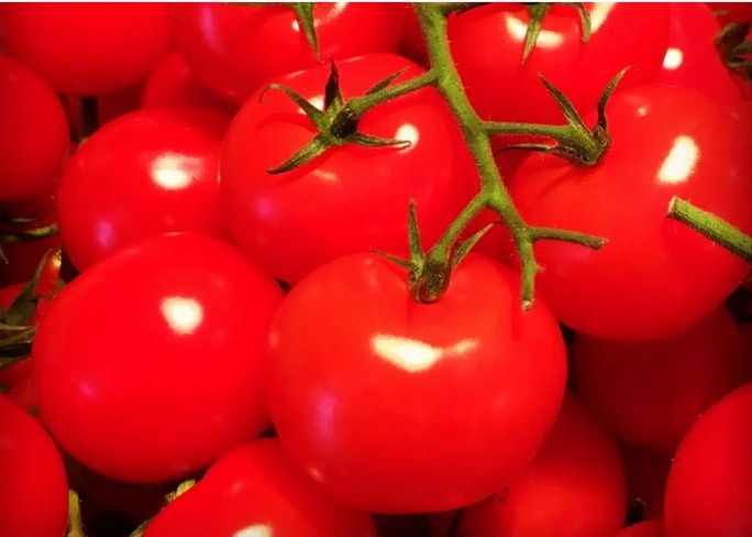 Ăn siêu thực phẩm cà chua, lợi ích khó ngờ - Ảnh 1.