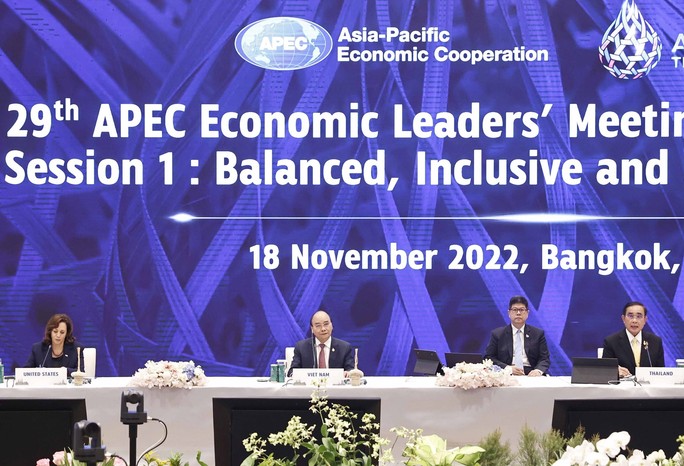APEC cần củng cố nền tảng hợp tác và phát triển - Ảnh 1.