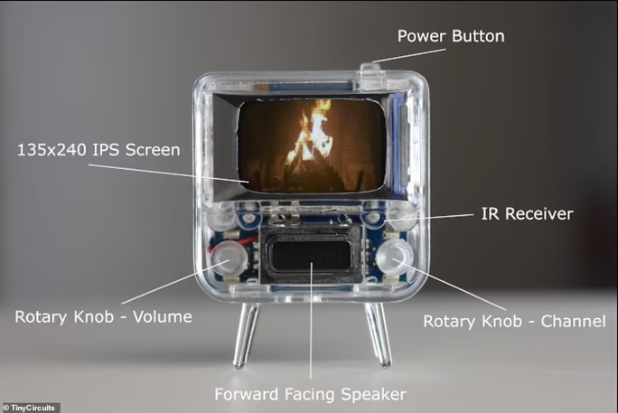 Cận cảnh bộ đôi tivi tí hon, độc nhất vô nhị thế giới - Ảnh 5.