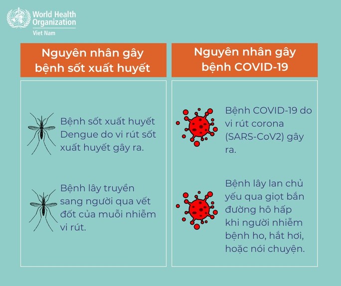 Cách phân biệt COVID-19, cúm và sốt xuất huyết - Ảnh 2.