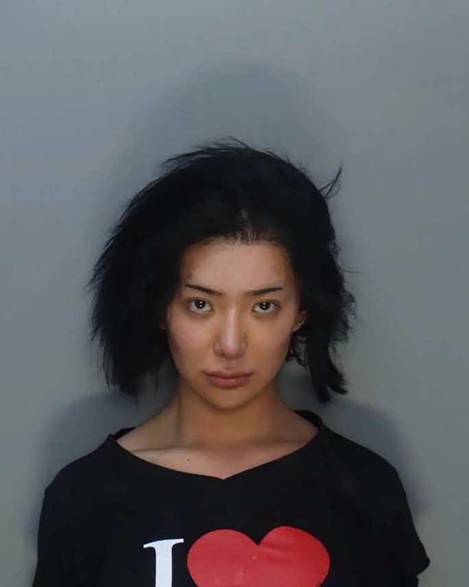 nikita-dragun-arrested-felony-battery-on-police-officer738-1667988470465785186834.jpg