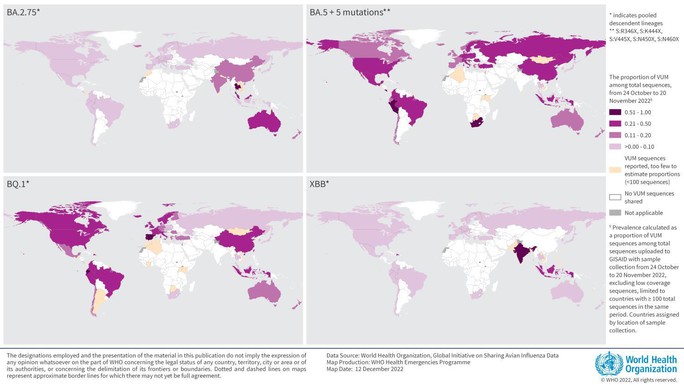 WHO: Hai biến chủng COVID-19 chiếm lĩnh Nam - Đông Nam Á không phải BQ.1 - Ảnh 1.