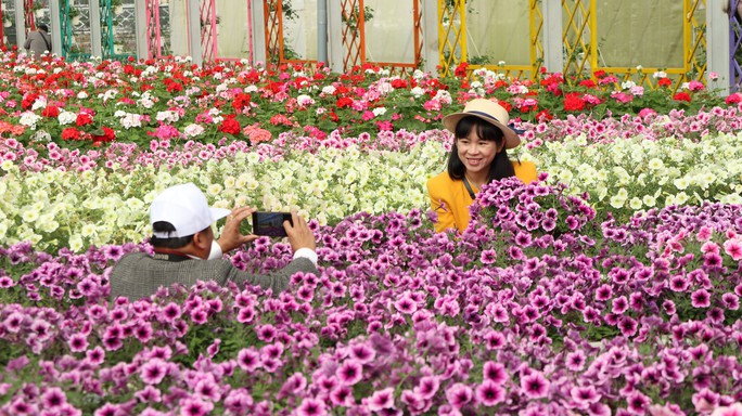 Khai mạc Festival hoa Đà Lạt lần thứ IX – 2022 hoành tráng trong tiệc đại nhạc hội ánh sáng và hoa - Ảnh 9.