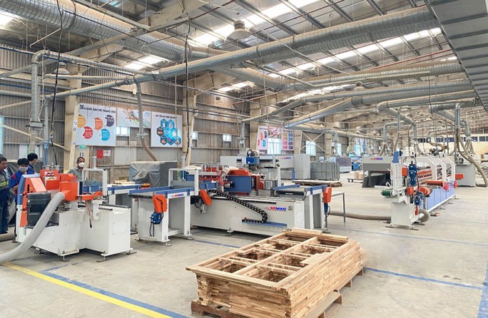 Quốc Duy - Nhà cung cấp máy chế biến gỗ hơn 20 năm kinh nghiệm - Ảnh 2.