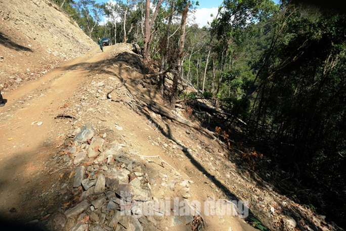 Đoàn công tác của Bộ Quốc phòng kiểm tra vụ phá rừng đặc dụng làm đường Trường Sơn Đông - Ảnh 4.
