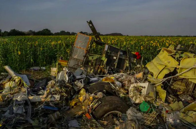 Bóng ma MH17 giữa lo ngại an ninh hàng không - Ảnh 3.