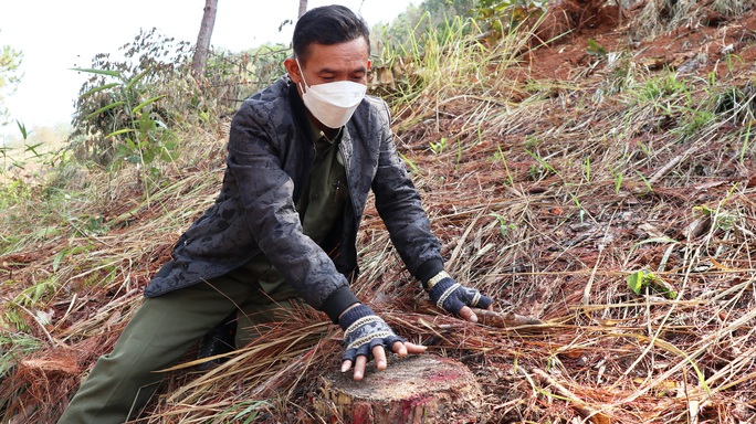 Nhức nhối tái diễn tình trạng phá rừng lấn chiếm đất ở Lâm Đồng - Ảnh 4.