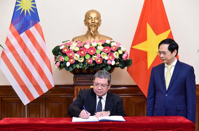 Hai Bộ trưởng Ngoại giao Việt Nam và Malaysia hội đàm - Ảnh 4.