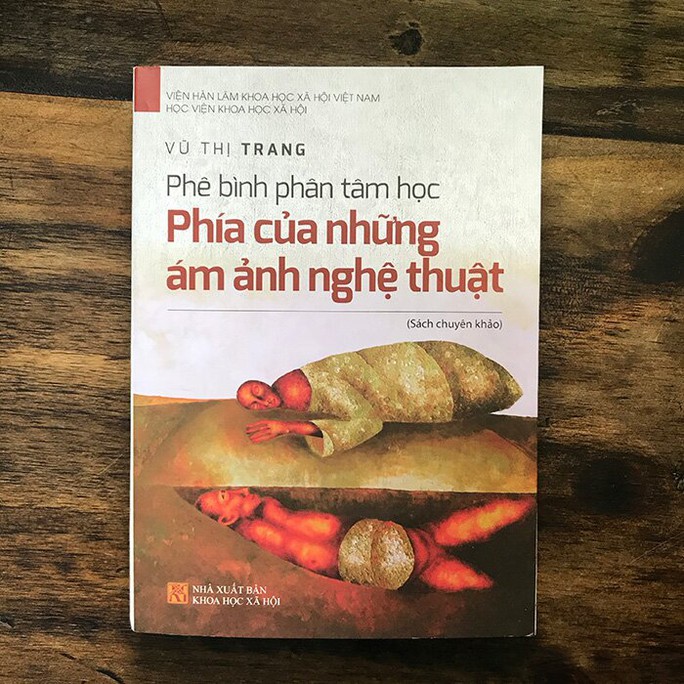 Nhiều ý kiến quanh sách đoạt giải thưởng Hội Nhà văn Việt Nam bị tố vi phạm bản quyền - Ảnh 1.