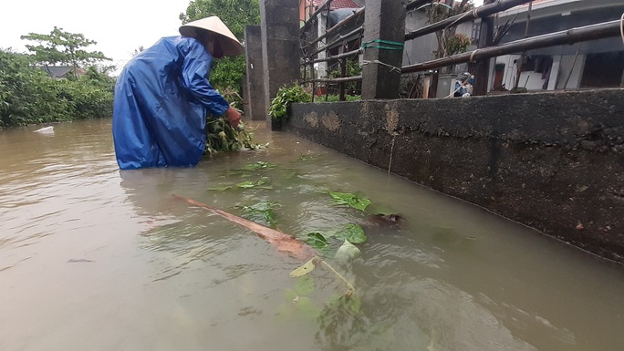 Thừa Thiên - Huế: Giao thông chia cắt, nông dân nguy cơ trắng tay vì mưa lũ trái mùa - Ảnh 10.