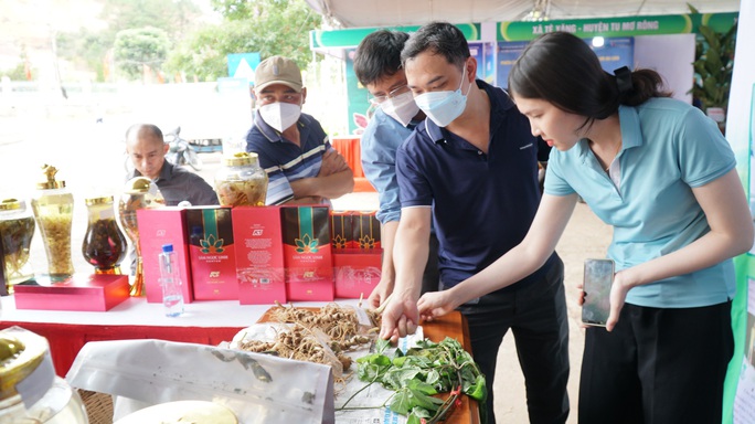 Hình ảnh minh chứng sống động cho sâm Ngọc Linh thật - Ảnh 7.