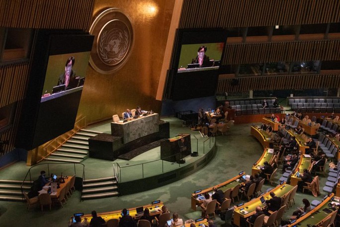 Liên Hiệp Quốc cải tổ quyền phủ quyết của Hội đồng Bảo an - Ảnh 1.
