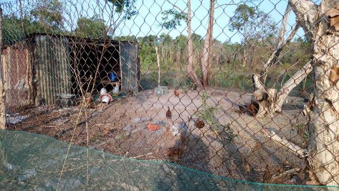 Kiểm điểm tập thể, cá nhân vụ phá rừng để nuôi gà, trồng thanh long trong rừng bảo tồn - Ảnh 1.