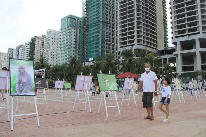 Bãi biển Đà Nẵng đông đúc chiều 29-4, vũ trường được hoạt động lại - Ảnh 14.