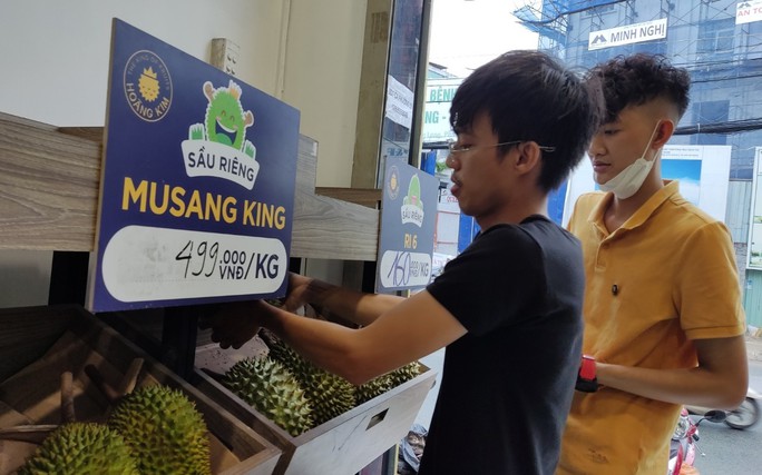 Choáng với giá sầu riêng Musang King trồng tại Việt Nam - Ảnh 1.