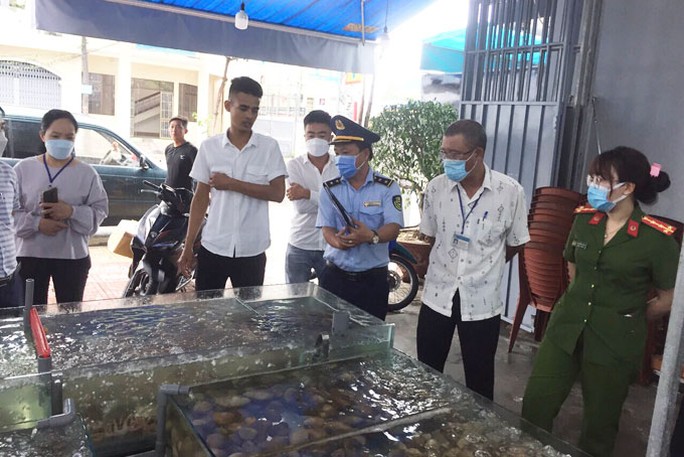 Hóa đơn hải sản 42,5 triệu đồng ở Nha Trang: Thực khách sẵn sàng làm ra ngô ra khoai - Ảnh 2.