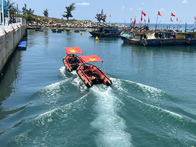 Đà Nẵng xử phạt hàng loạt phương tiện chở du khách ngắm san hô - Ảnh 3.